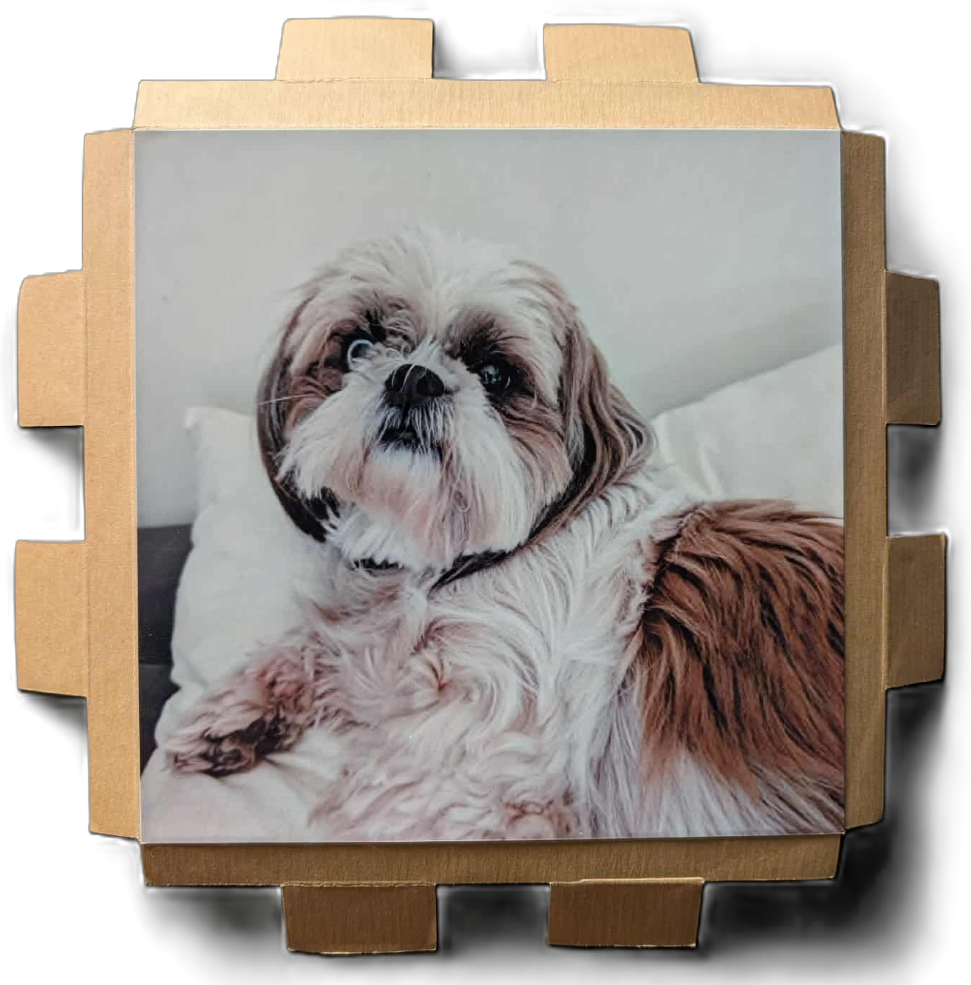 PHOTO PERSONNALISABLE (sans cadre)