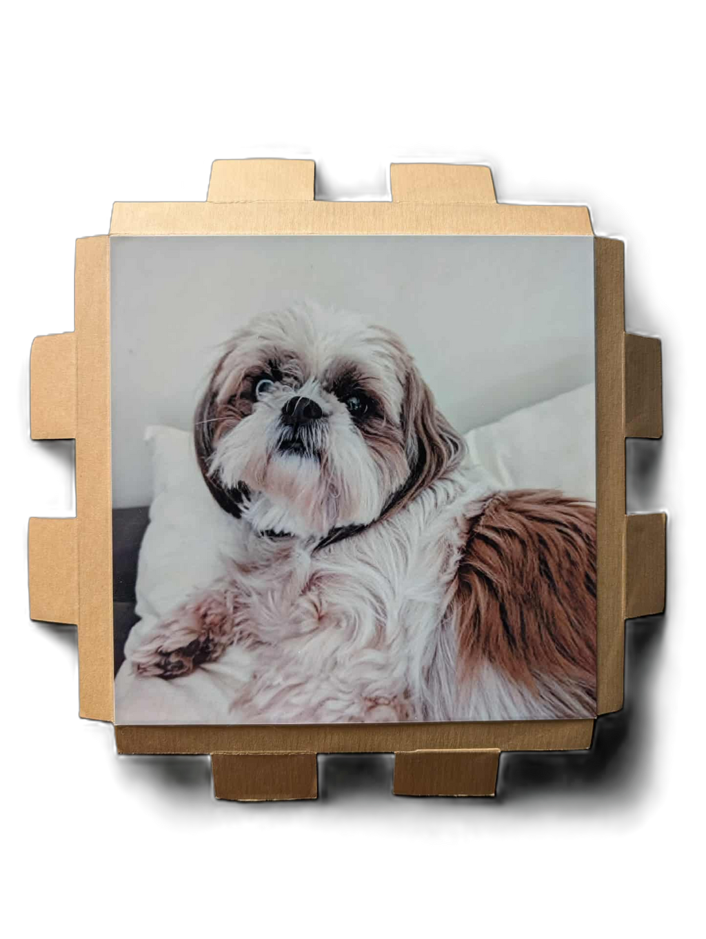 CADRE + PHOTO PERSONNALISABLE